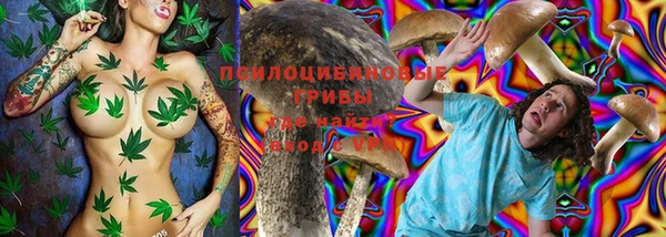 винт Арсеньев