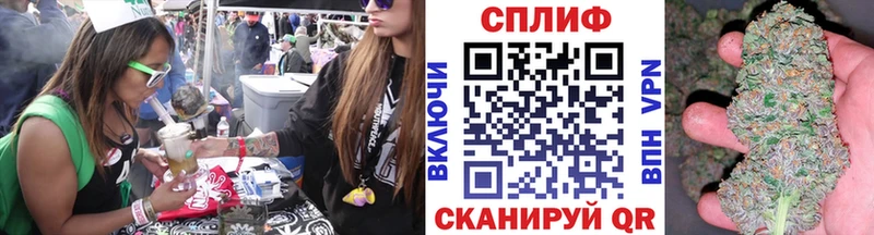 Каннабис сатива  Поронайск 